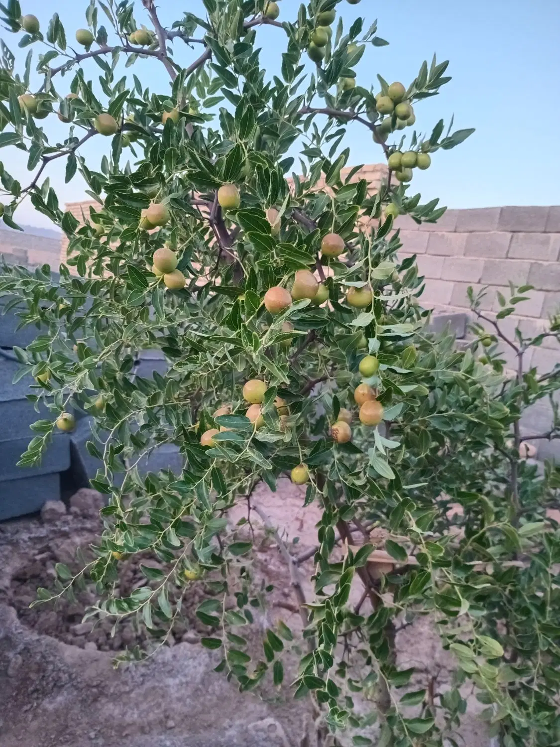 تصویر 7