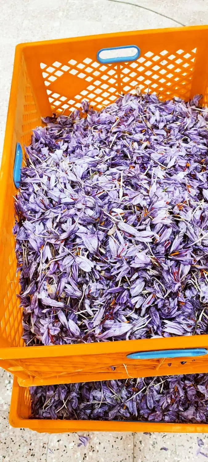 زعفران برتر قاین|حراج|مهاباد (اصفهان), |دیوار
