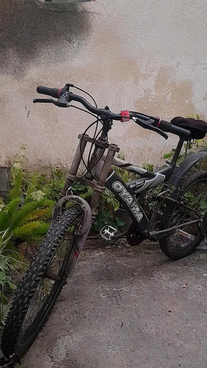 دوچرخه|دوچرخه، اسکیت، اسکوتر|رشت, جماران|دیوار