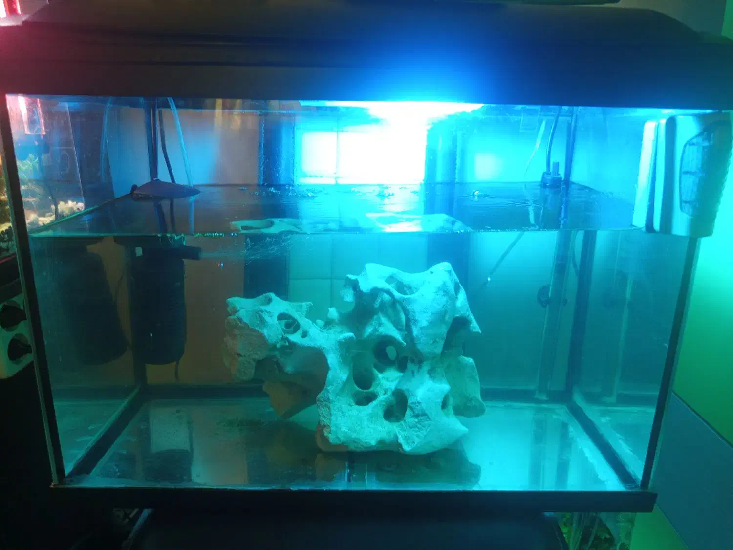 آکواریوم شرکتی هایلا|ماهی|تهران, افسریه شمالی|دیوار