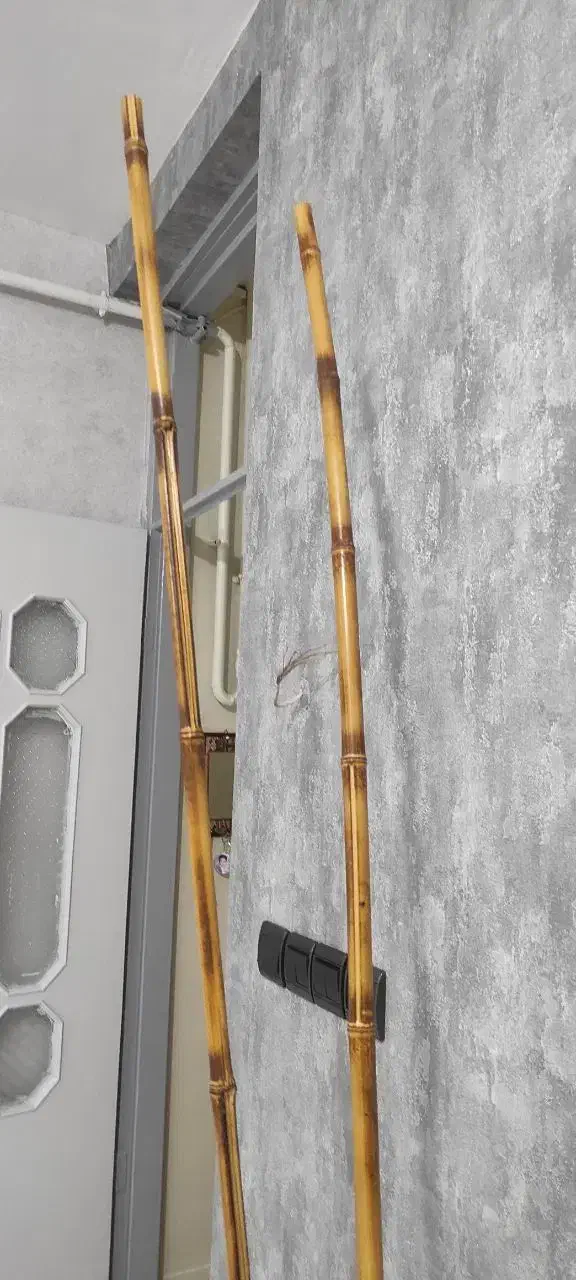 بامبو|گل مصنوعی|کرمانشاه, |دیوار