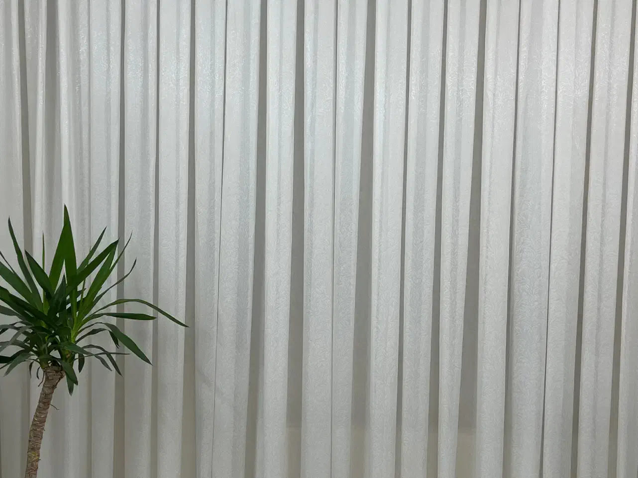 پرده|پرده، رانر، رومیزی|مشهد, چهارچشمه|دیوار