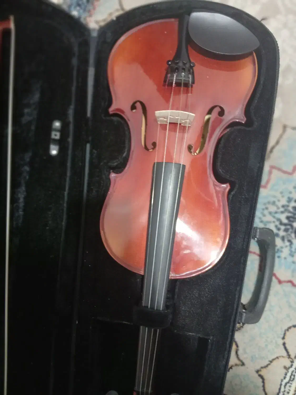 ویالون|ویولن|بهبهان, |دیوار