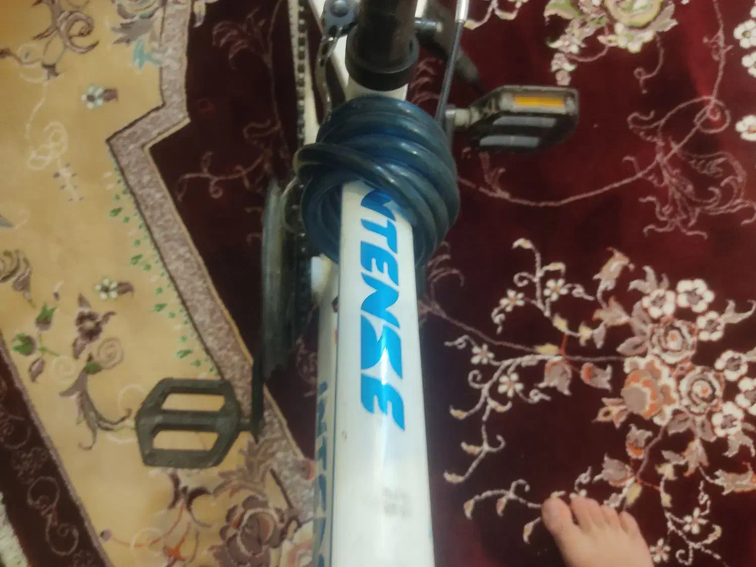 دوچرخه فروش فوری|دوچرخه، اسکیت، اسکوتر|صدرا-فارس, فاز ۲|دیوار