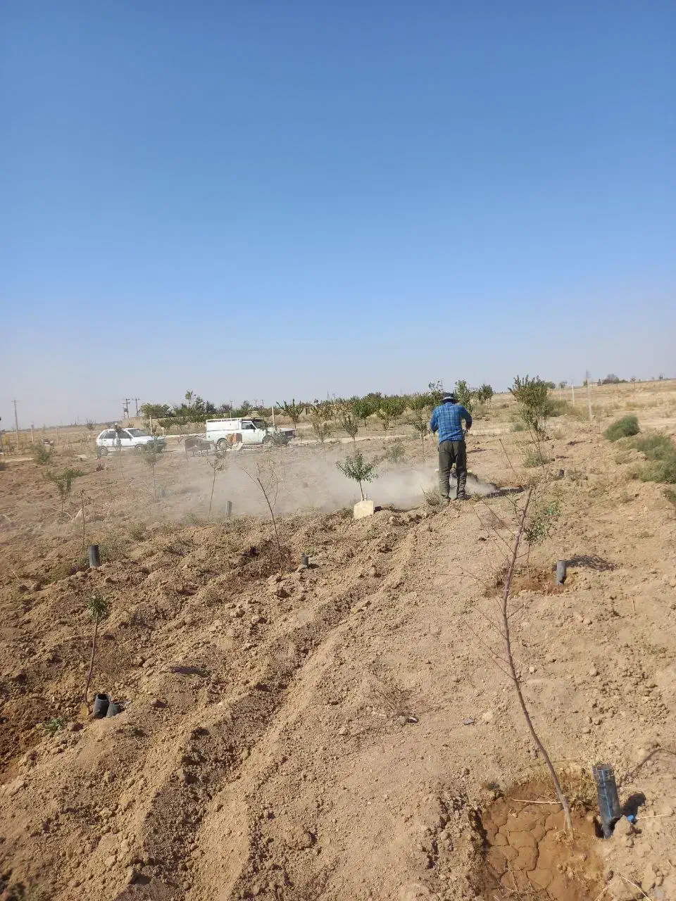 فوریباغبادرخت،ابیاریقطره ای|فروش دفتر صنعتی، کشاورزی، تجاری|اراک, |دیوار