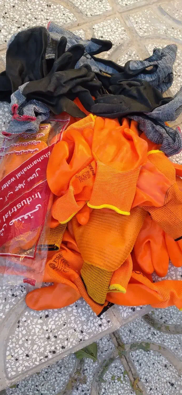 دستکش کار و زرشک چینی|لباس|بیرجند, |دیوار