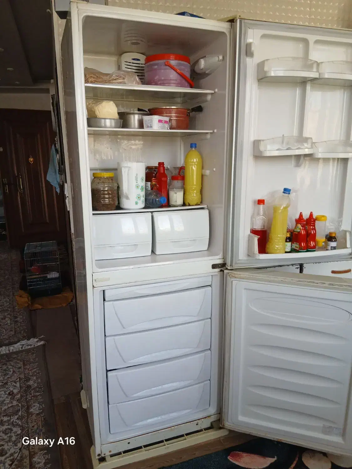 فرش و یخچال|فرش|ورامین, ورامین|دیوار