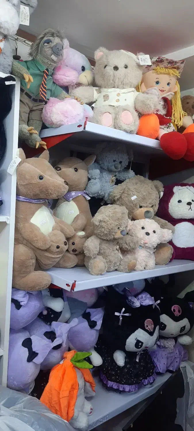 عروسک هوشمند/ پولیشی/باربی/اکسوری|اسباب‌‌بازی|کرج, شاهین‌ویلا|دیوار