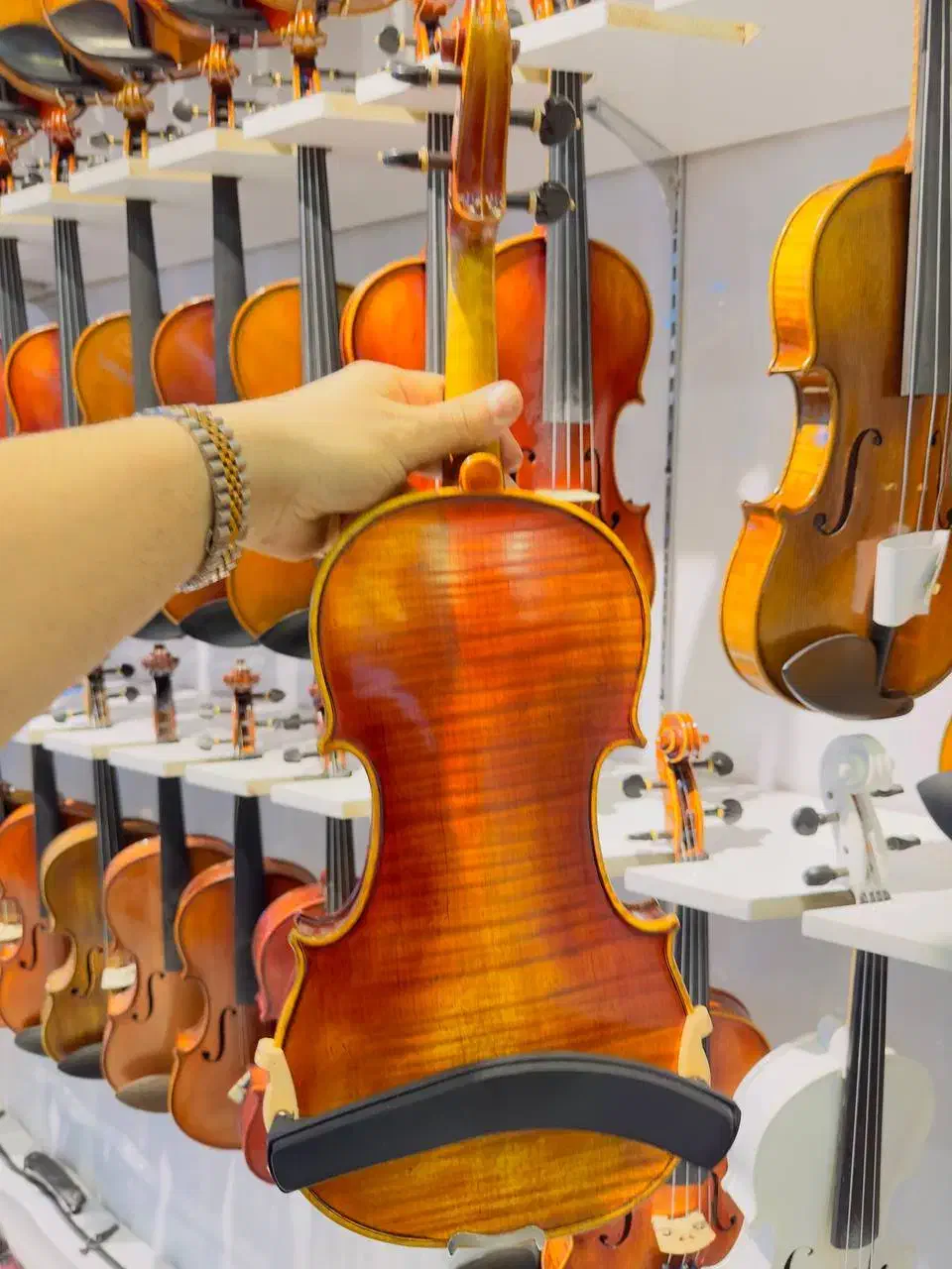 ویولون آلمانی|ویولن|شیراز, شهرک قمشه|دیوار