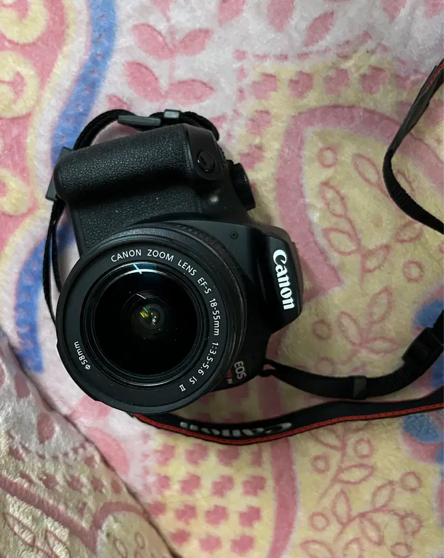 دوربین کانن|دوربین عکاسی و فیلم‌برداری|قم, امامزاده ابراهیم|دیوار