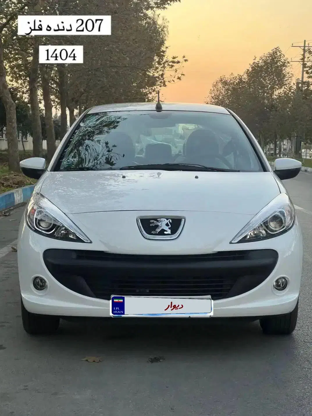 207 صفر کیلومتر مدل 1404|خودرو سواری و وانت|بروجرد, |دیوار