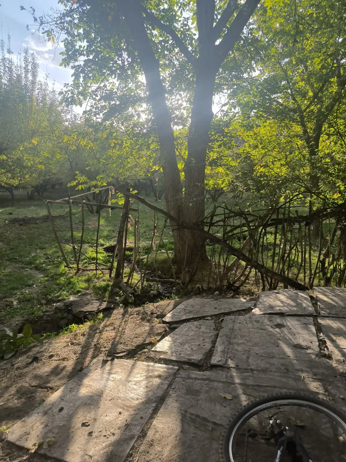 باغ با انواع میوه|فروش دفتر صنعتی، کشاورزی، تجاری|نهاوند, |دیوار