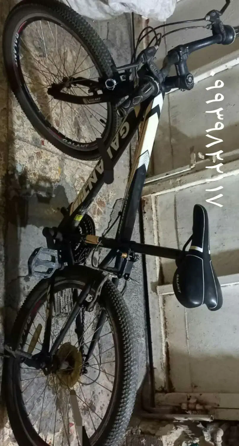 دوچرخه گالانت ۲۴|دوچرخه، اسکیت، اسکوتر|شوش, |دیوار