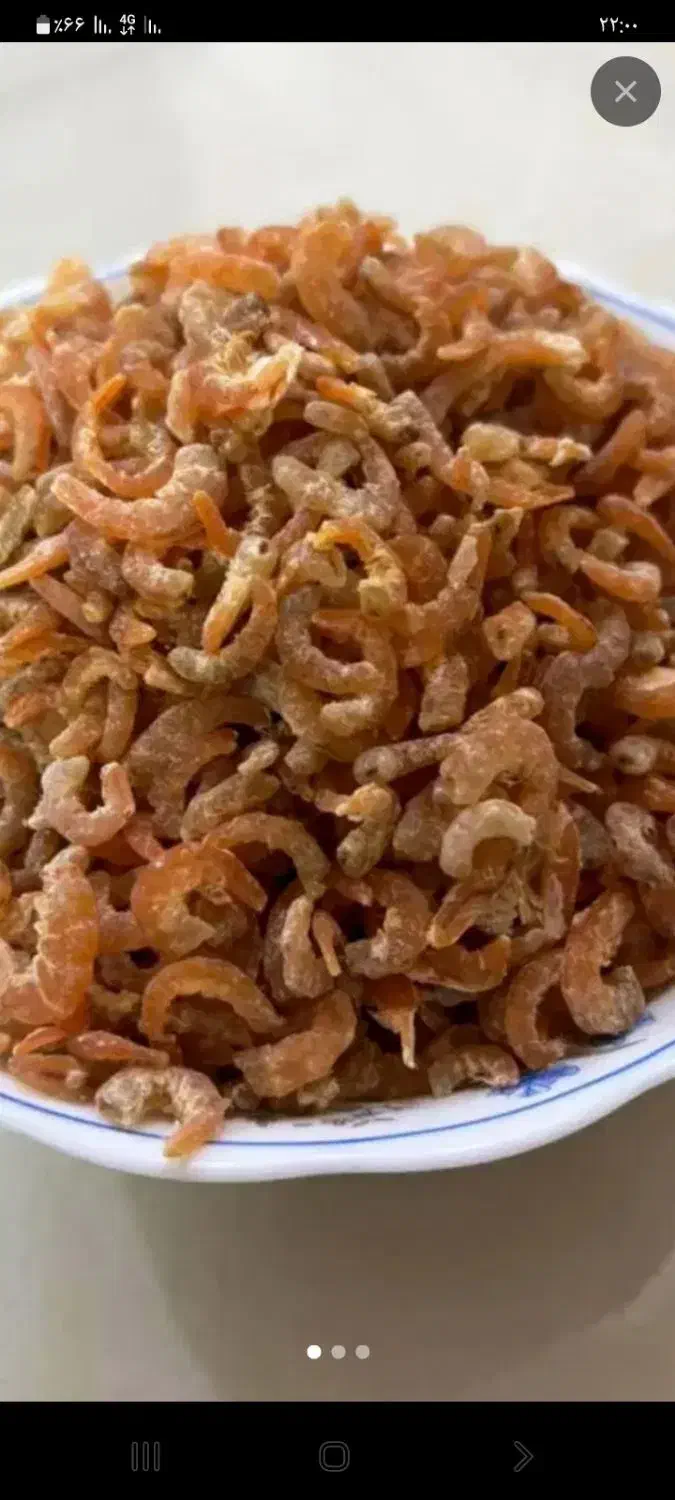 میگو خشک|خوردنی و آشامیدنی|یاسوج, |دیوار