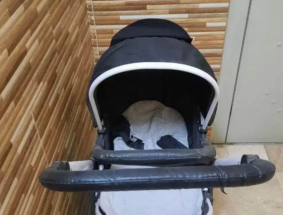 کالسکه دلیجان|کالسکه و لوازم جانبی|تهران, جلیلی|دیوار