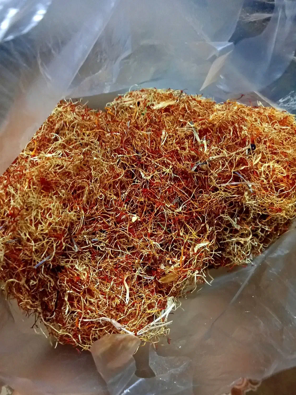 ریشه زعفران|خوردنی و آشامیدنی|مشهد, مهدی آباد|دیوار