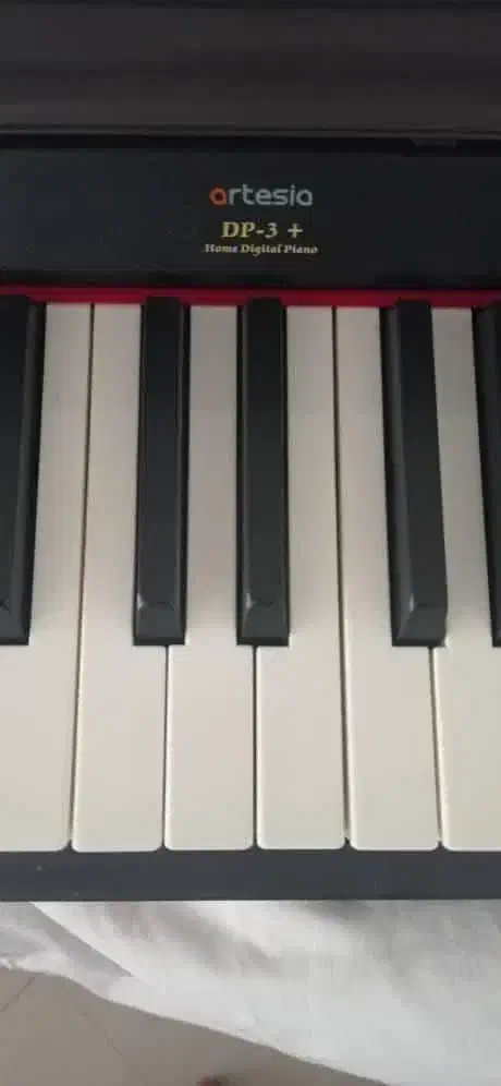 پیانو|پیانو، کیبورد، آکاردئون|زنجان, |دیوار