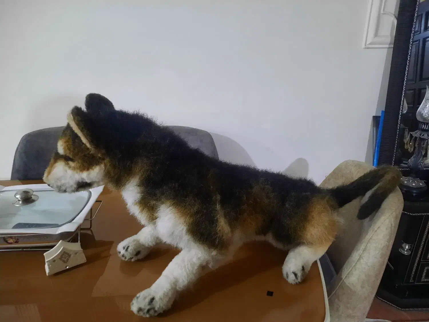 عروسک سگ|اسباب‌‌بازی|کرمانشاه, |دیوار