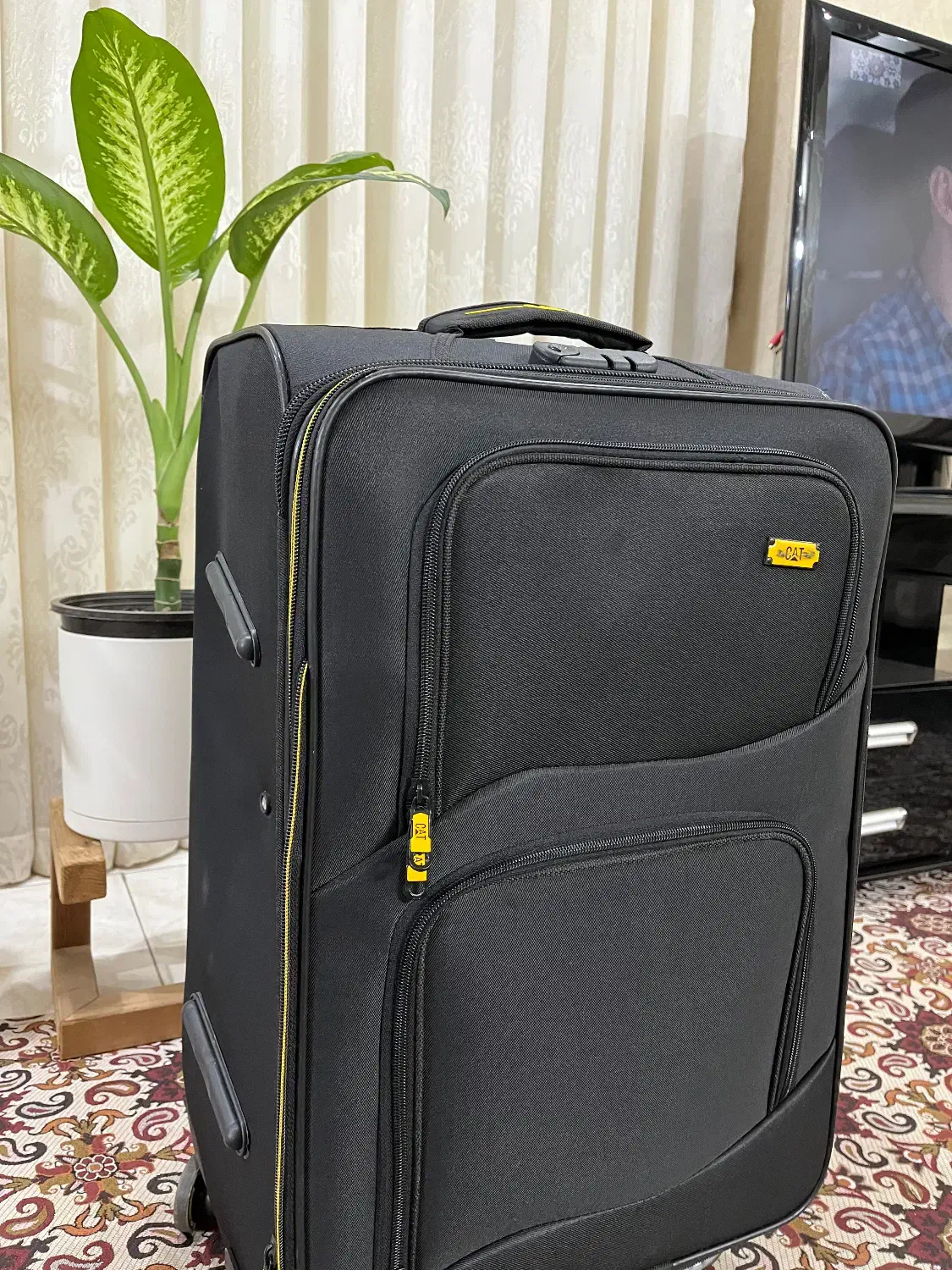 چمدان|کیف، کفش، کمربند|مشهد, رستگار|دیوار