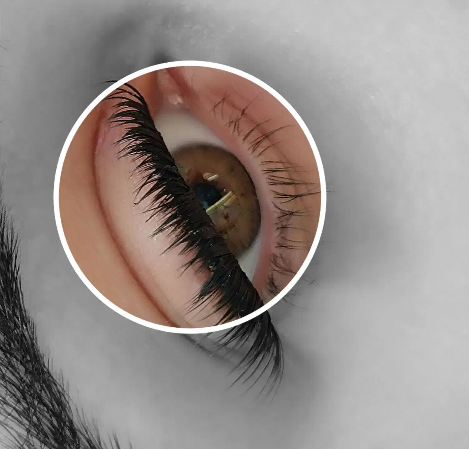 کاشت مژه حرفه ای با قیمت مناسب|خدمات آرایشگری و زیبایی|تهران, فدک|دیوار