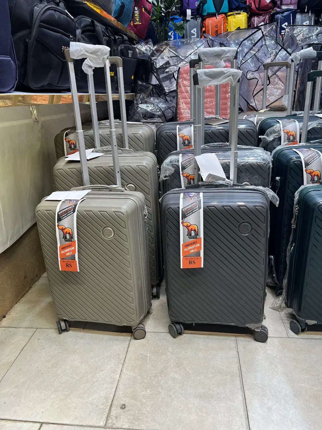 تک شده|کیف، کفش، کمربند|همدان, |دیوار