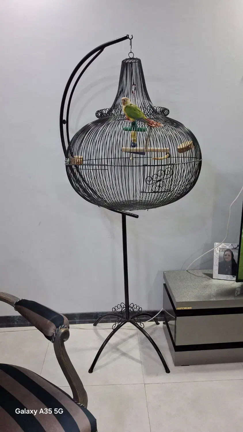 قفس آویز بزرگ طوطی با ساخت سفارشی|لوازم جانبی حیوانات|کرج, باغستان|دیوار