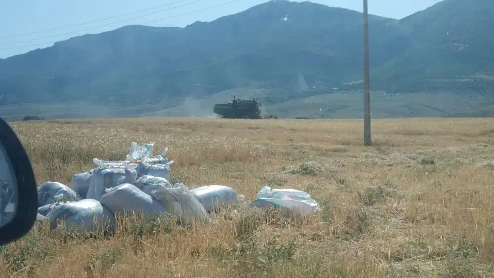 فروش فوری زمین کشاورزی چهاردنگه|فروش زمین و ملک کلنگی|کیاسر, |دیوار