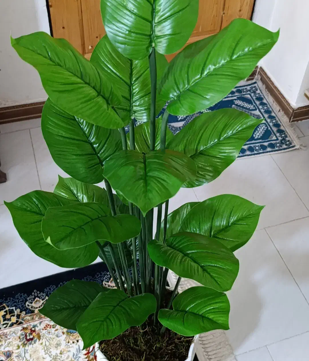 گل ودرختچه|گل مصنوعی|پاکدشت, پاکدشت (مامازند)|دیوار