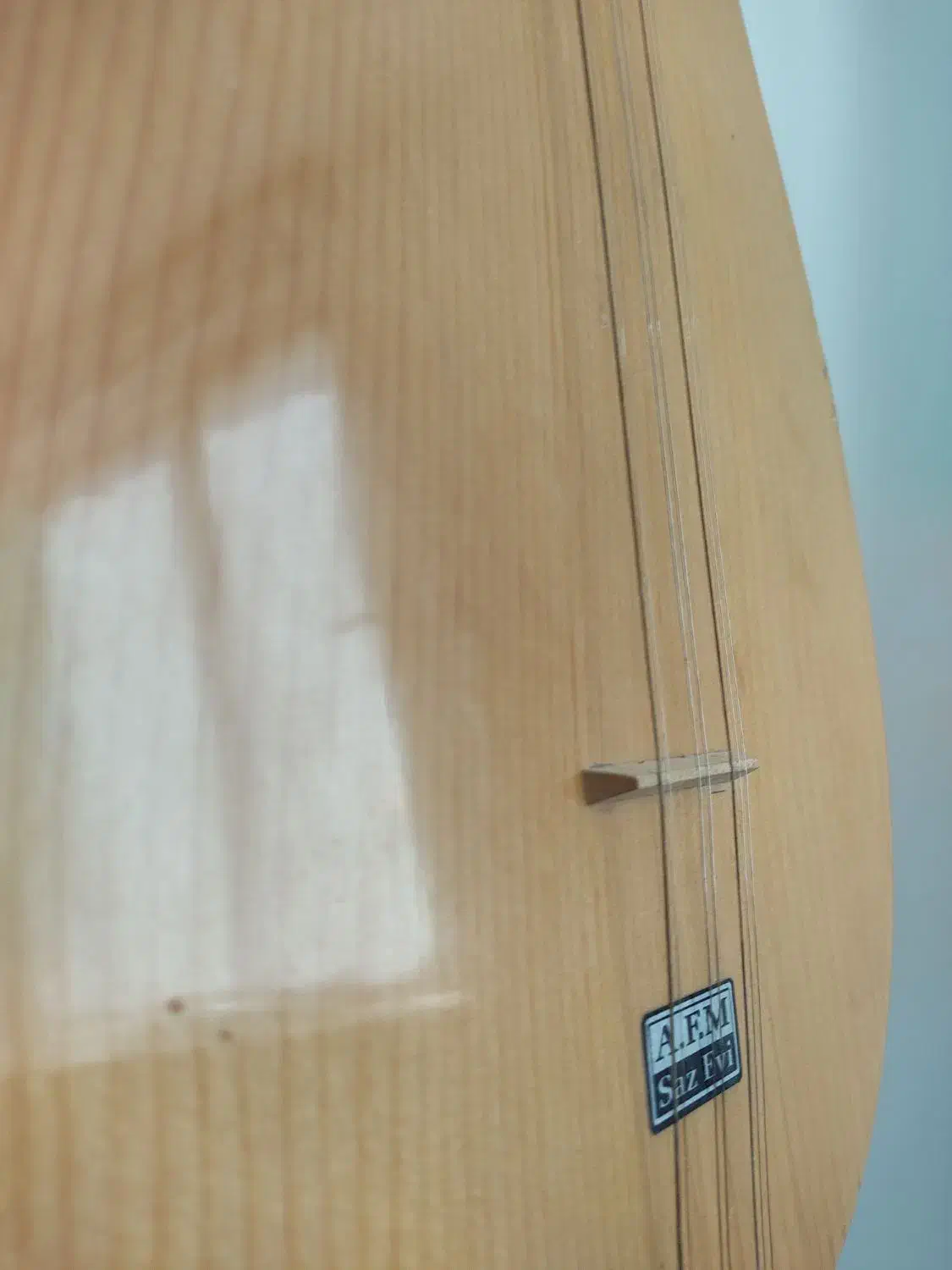 ساز|سازهای سنتی|سلماس, |دیوار