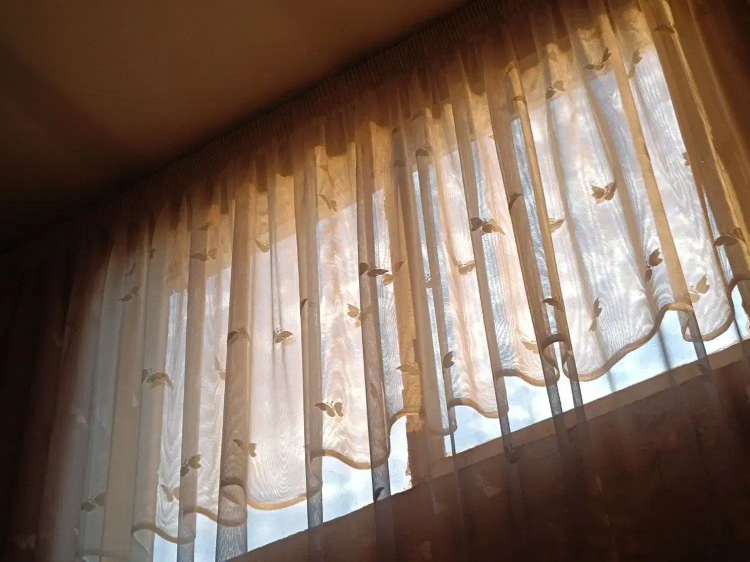 پرده نسکافه‌ای|پرده، رانر، رومیزی|مشهد, گلشور|دیوار