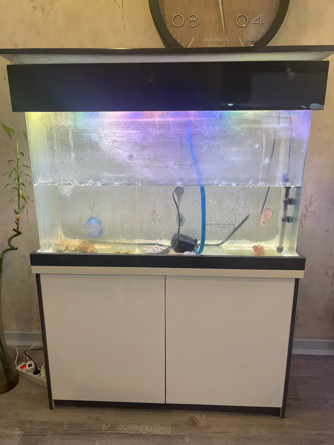 آکواریومشیشه خم 120/40/80cm|لوازم جانبی حیوانات|اهواز, کوروش|دیوار