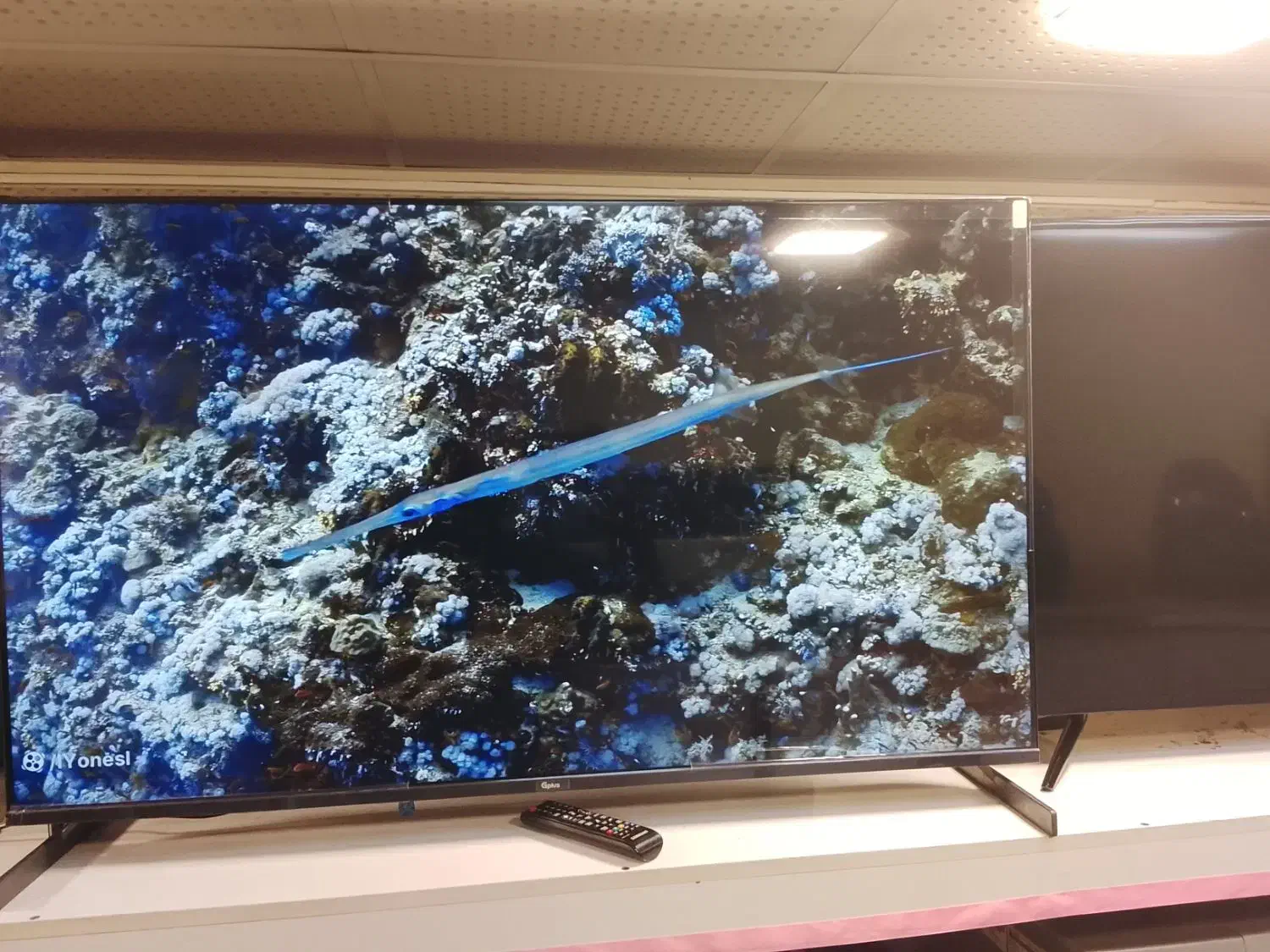 ال ای دی ۵۵اینچ جی پلاس|تلویزیون و پروژکتور|تهران, تهرانپارس شرقی|دیوار