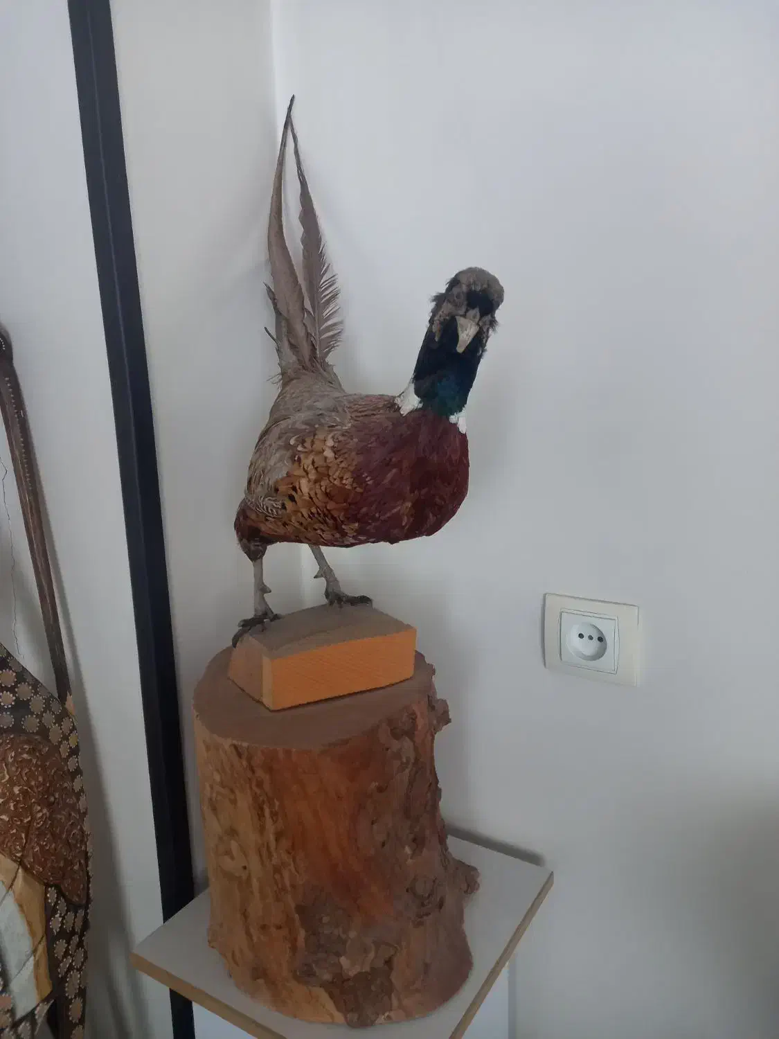 فروش لوازم باغ با تخفیف|کلکسیون و سرگرمی|اصفهان, شهرک کاوه|دیوار