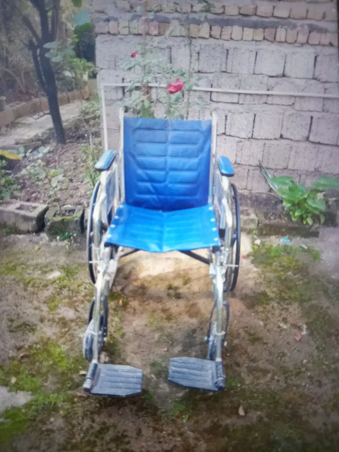 ویلچر|آرایشی، بهداشتی، درمانی|آستانه اشرفیه, |دیوار