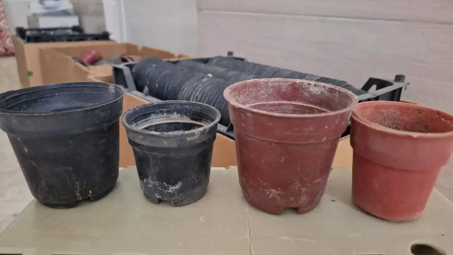 گلدان پلاستیکی کوچک برای قلمه و تکثیر گل و گیاه|عمده‌فروشی|صباشهر, |دیوار