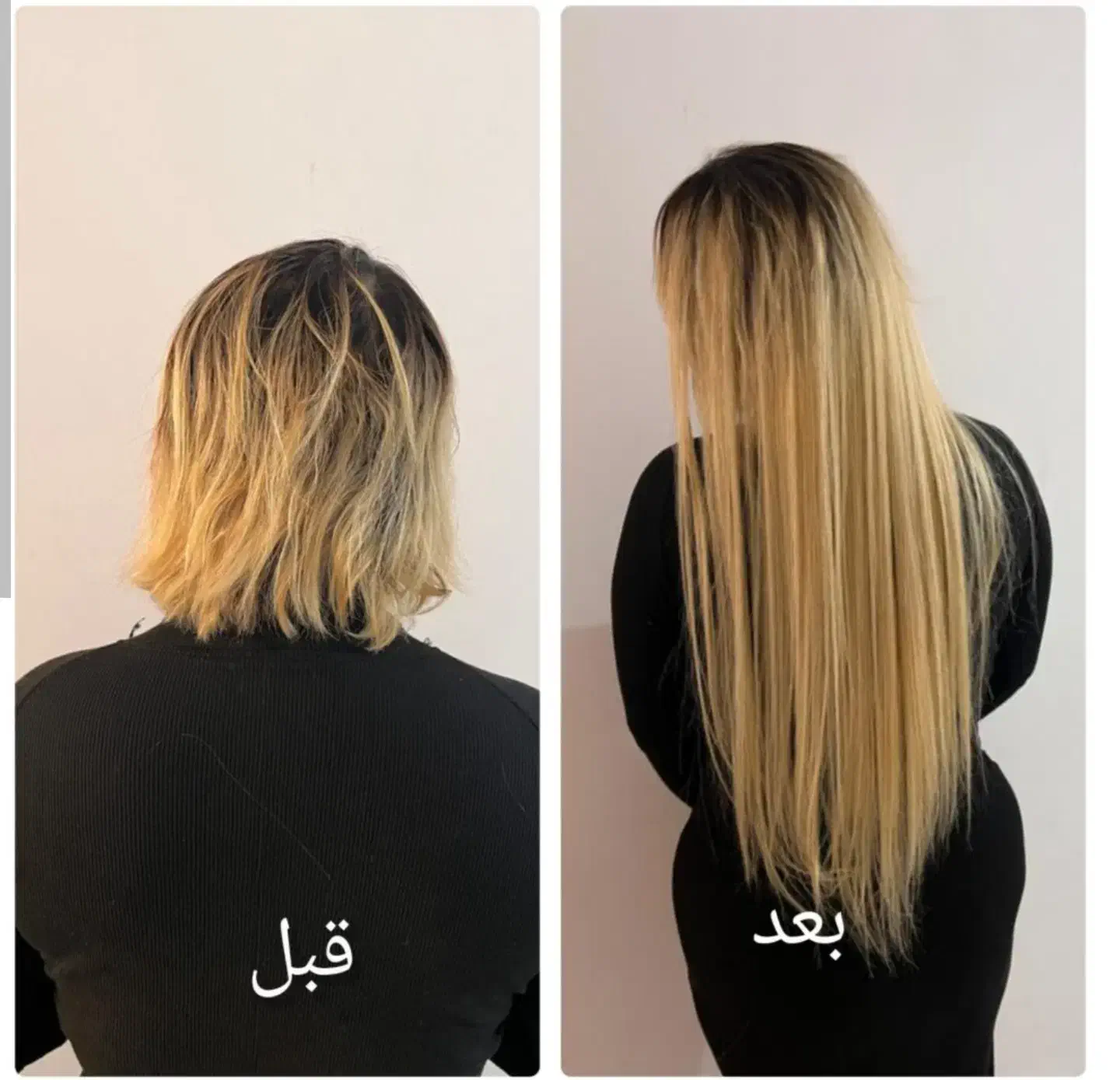 آموزش و خدمات شینیون|خدمات آرایشگری و زیبایی|رشت, چله خانه|دیوار