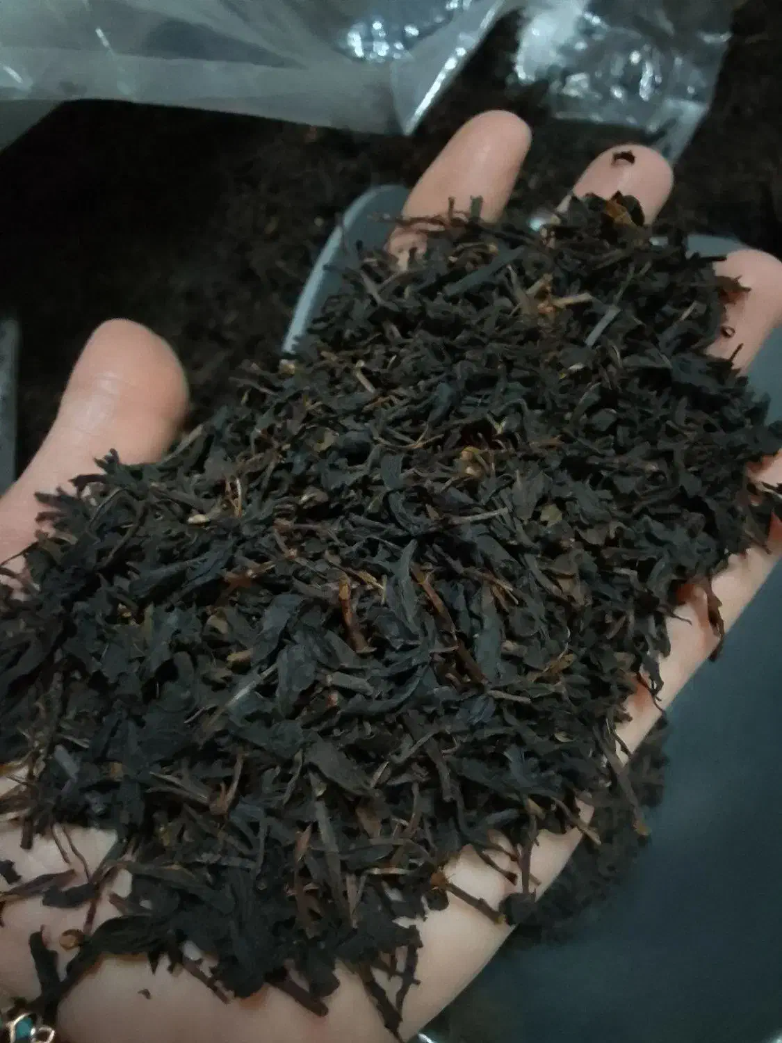 چای قلم به شرط دم|خوردنی و آشامیدنی|لاهیجان, لاشیدان|دیوار