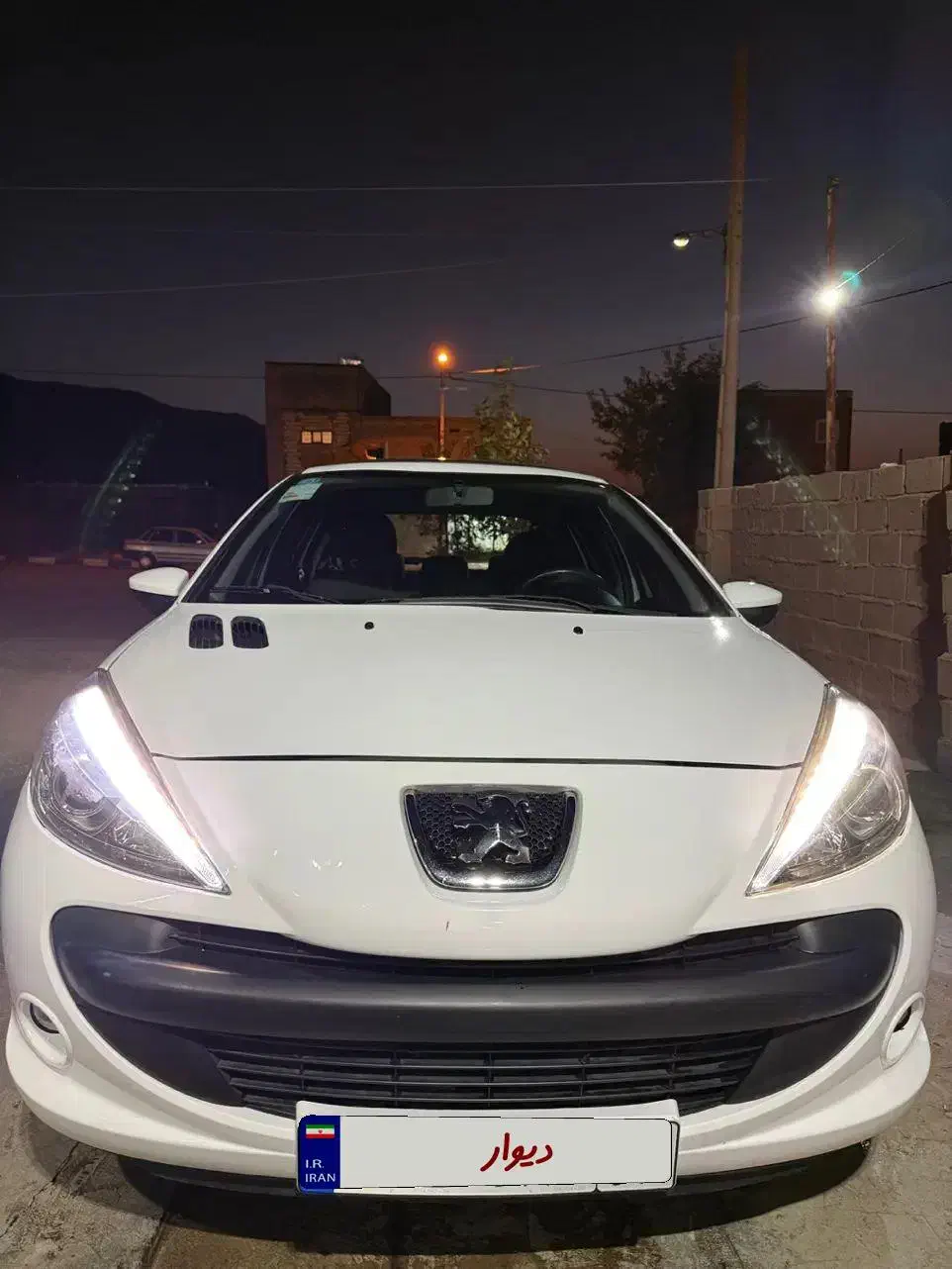 ۲۰۷پانا|خودرو سواری و وانت|تربتحیدریه, ۴۵ متری|دیوار