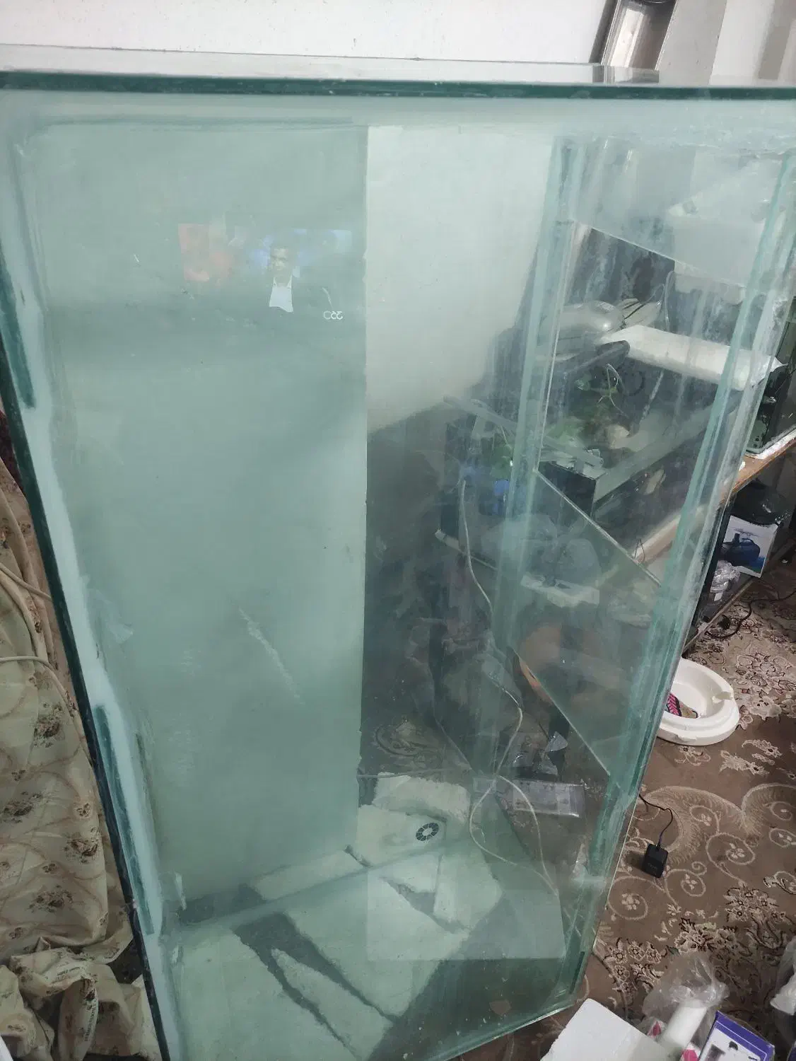 آکواریوم بزرگ|ماهی|شاهین‌شهر, عطار|دیوار