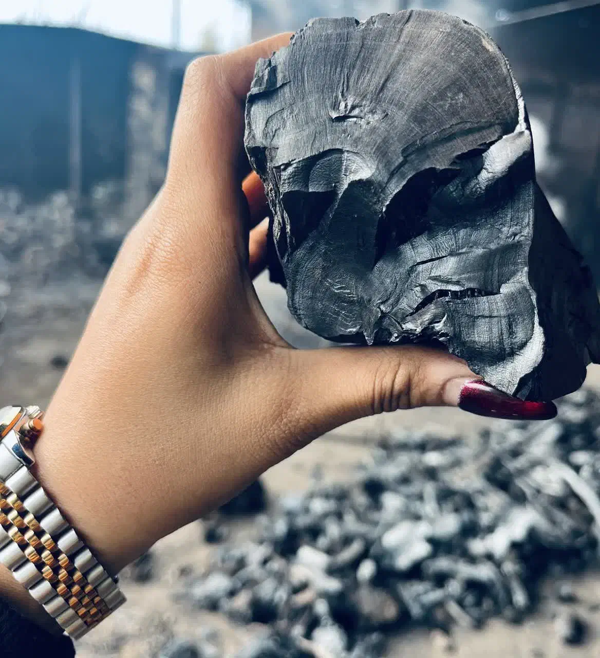 تولید ذغال کبابی و مرکبات 40 تن در ماه|عمده‌فروشی|سورک, |دیوار