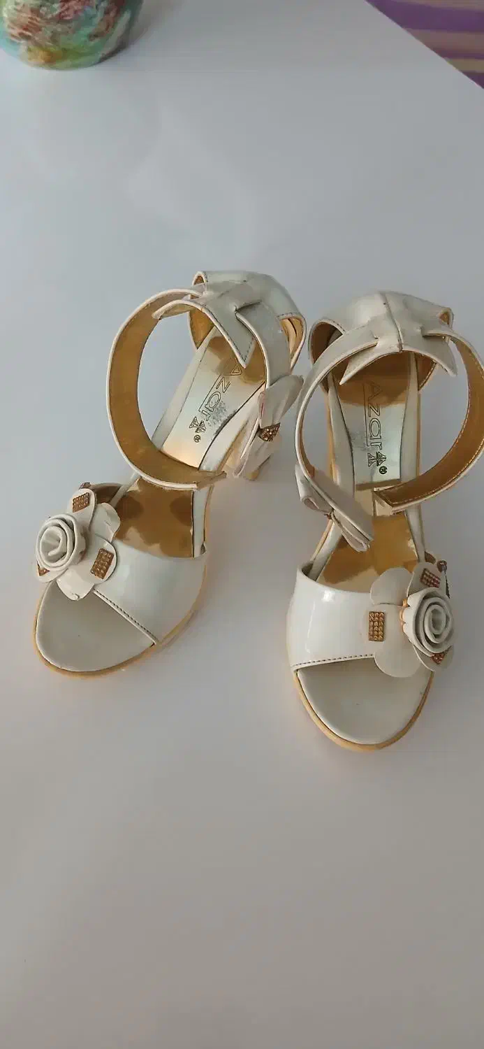 صندل مجلسی سالم|کیف، کفش، کمربند|اصفهان, حصه جنوبی|دیوار