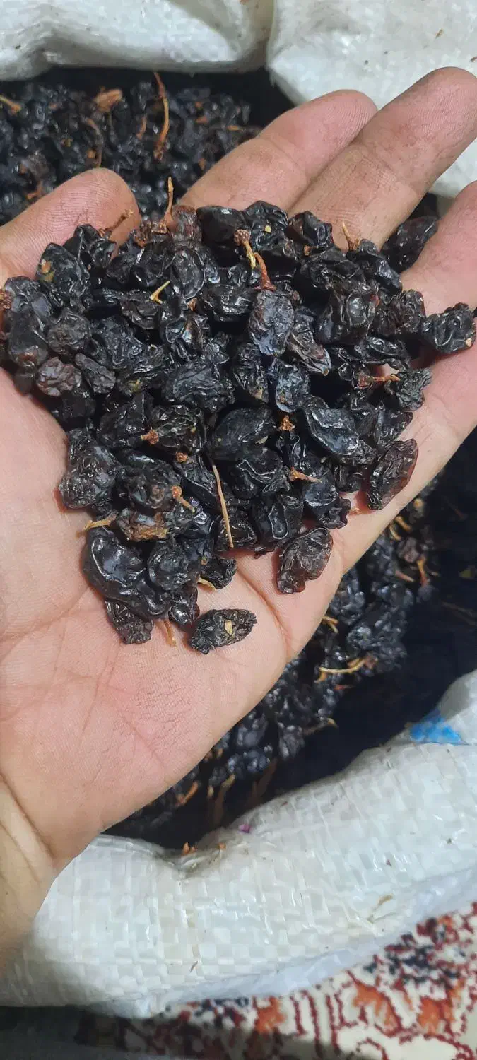 مویز آفتاب خشک|خوردنی و آشامیدنی|پاکدشت, پاکدشت (مامازند)|دیوار