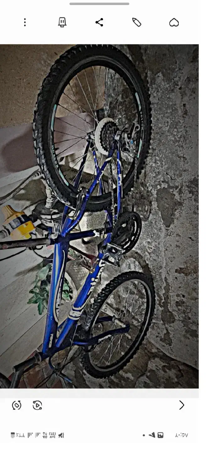 دوچرخه 24بونیتو|دوچرخه، اسکیت، اسکوتر|گنبد کاووس, |دیوار