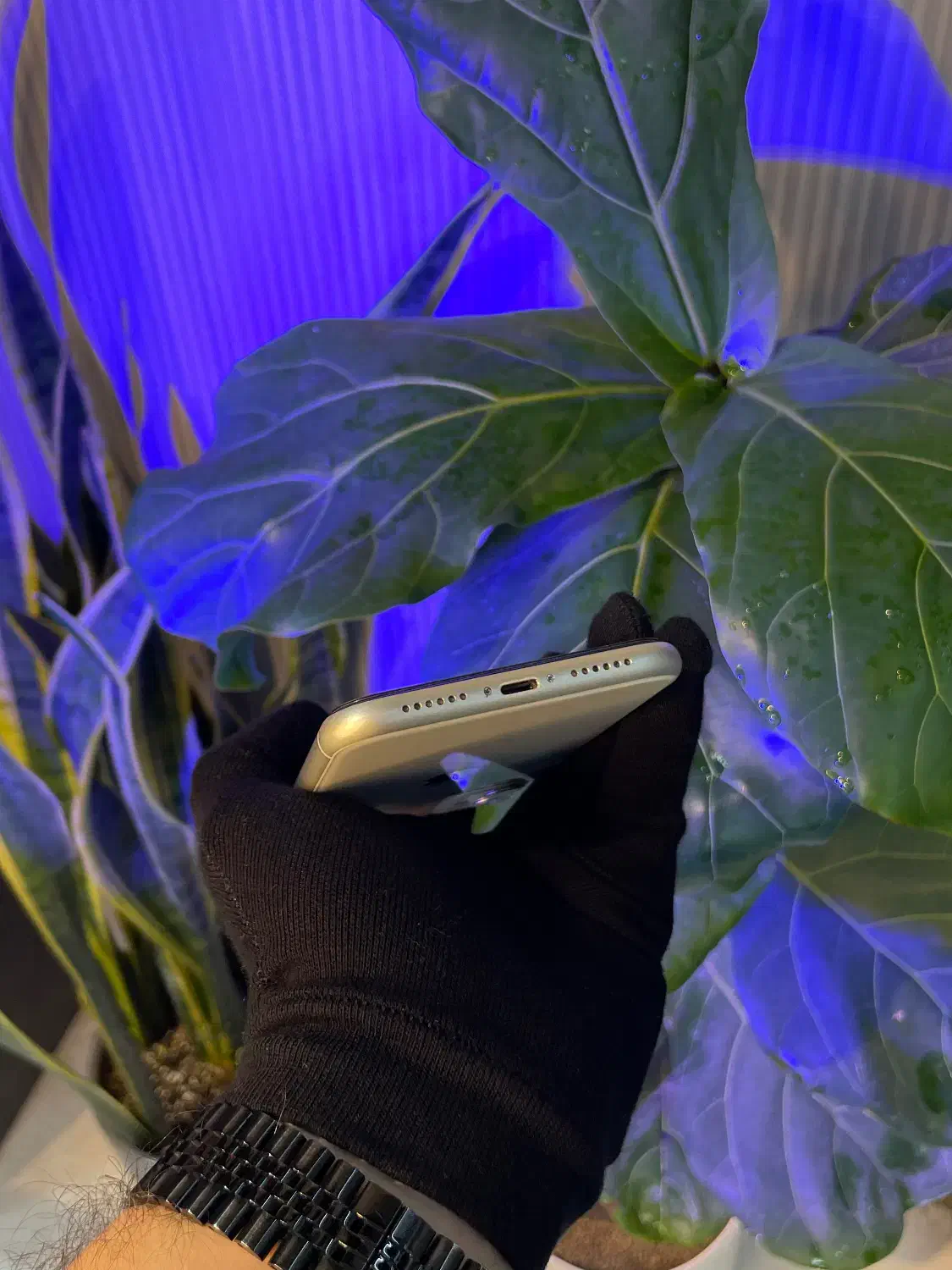 آیفون 11 پک اصلی Zaa|موبایل|رشت, چله خانه|دیوار