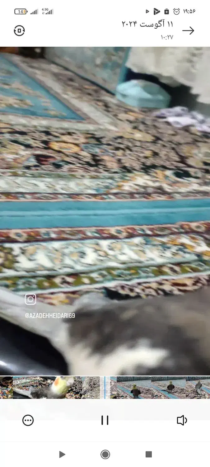 فرش ۹متری زاگرس اصل|فرش|کرمانشاه, |دیوار