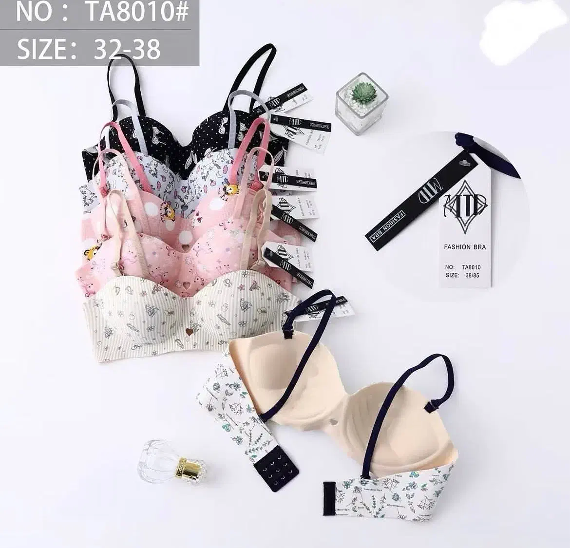 لباس زیر زنانه و دخترانه|لباس|شیراز, کوشک میدان|دیوار