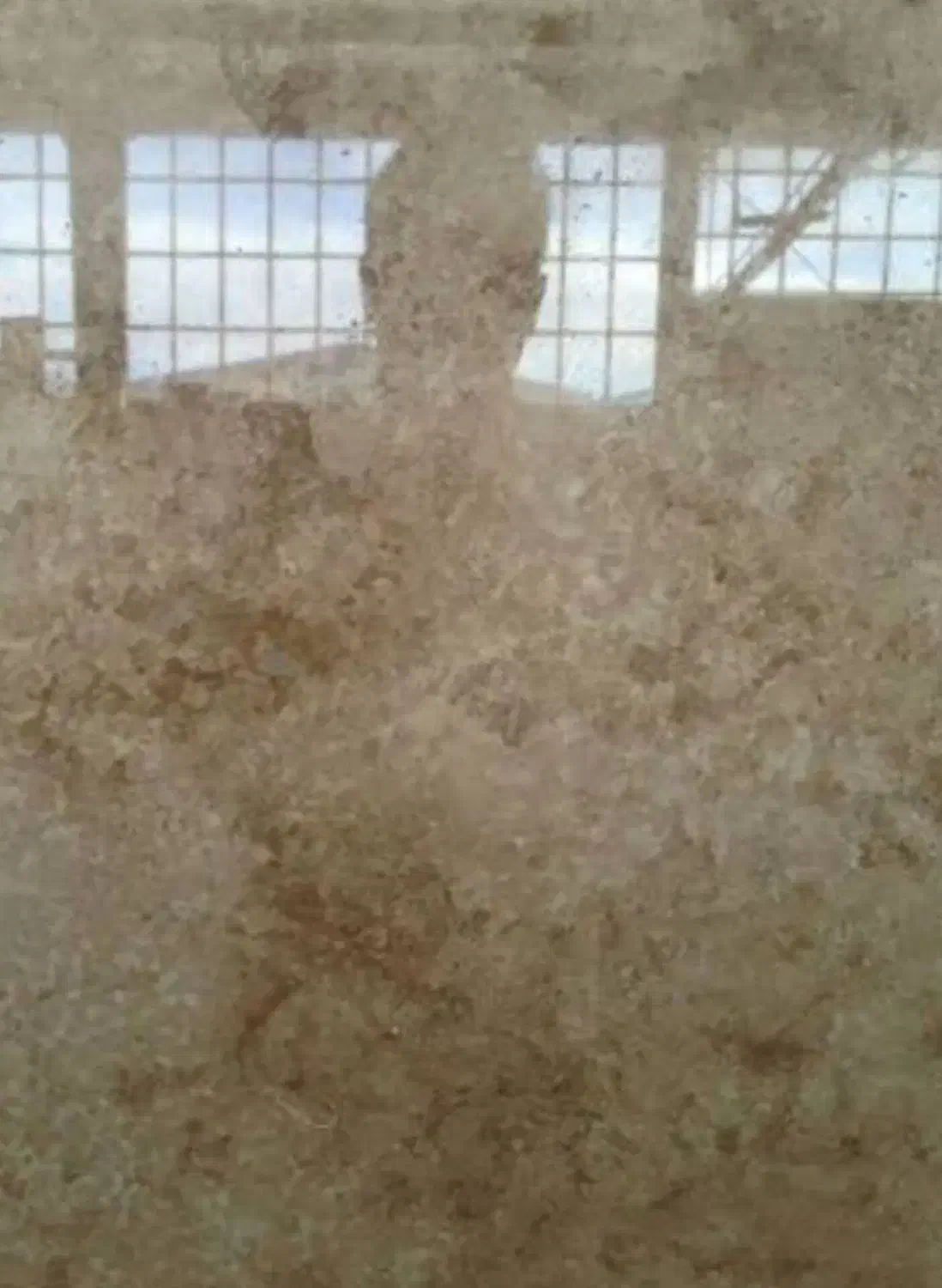 دیگه تکرار نمیشه|مصالح و تجهیزات ساختمان|تبریز, |دیوار