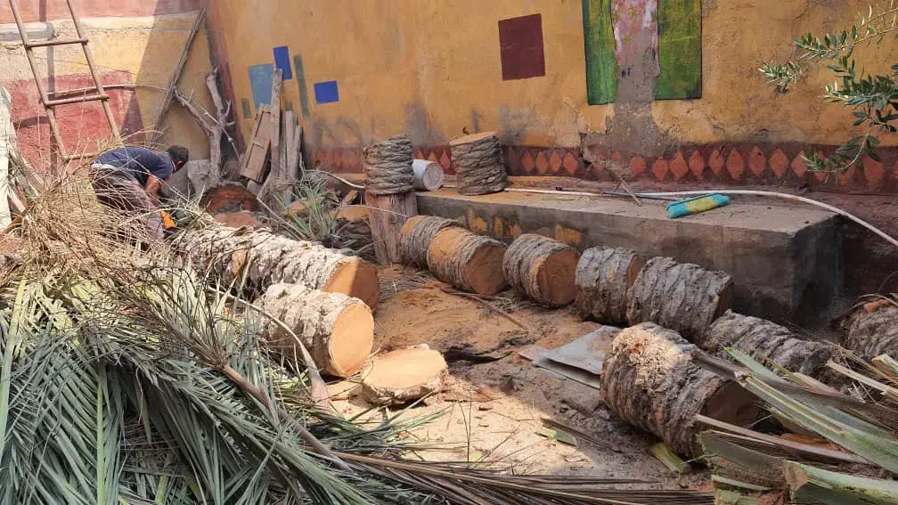 قطع نخل رایگان با اره برقی|خدمات باغبانی و درختکاری|میناب, |دیوار