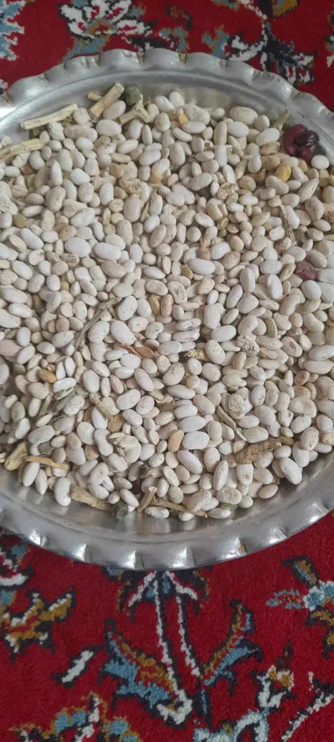 یک تن لوبیا سفید هلندی|عمده‌فروشی|صحنه, |دیوار