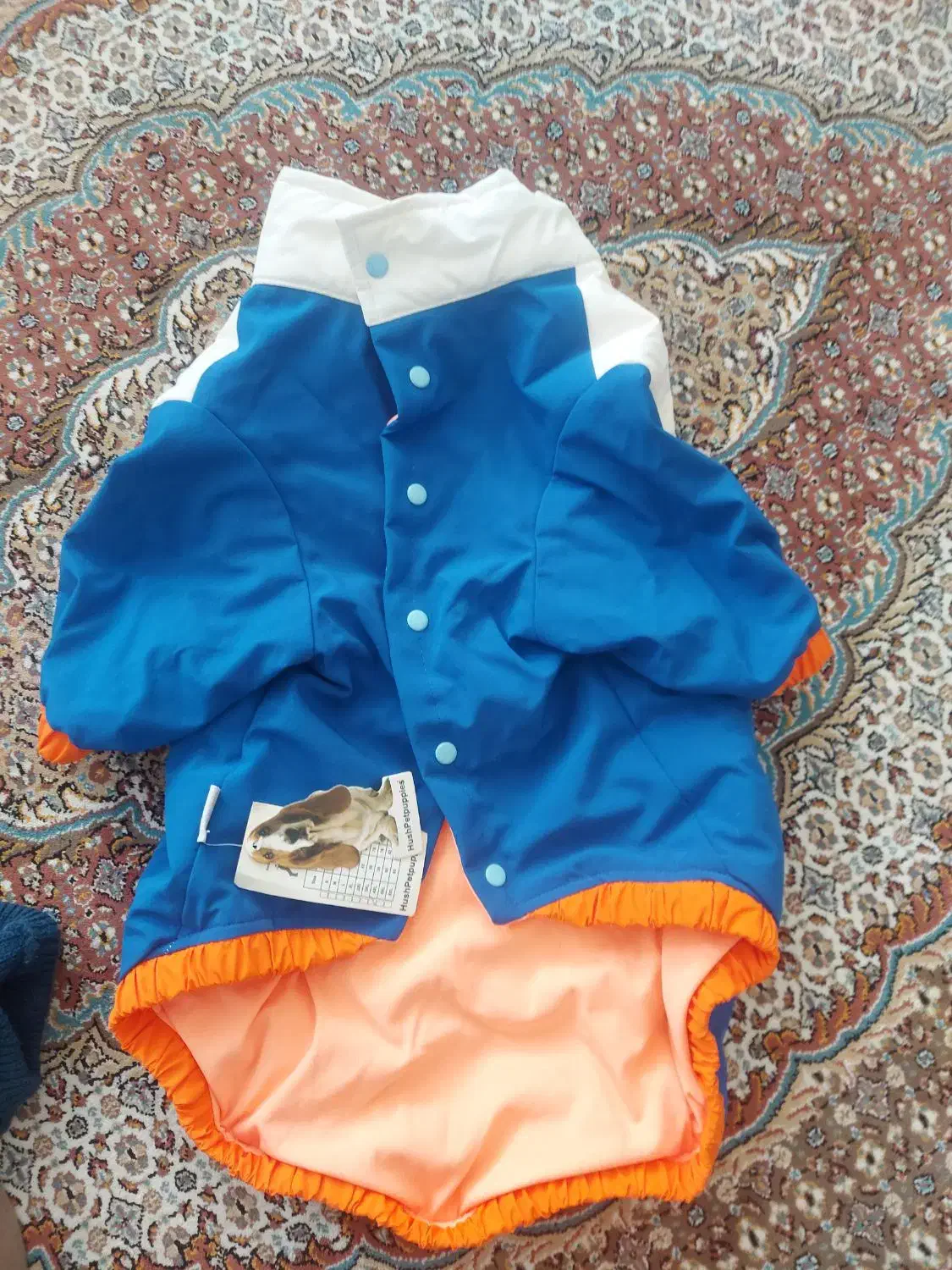 لباس سگ|لوازم جانبی حیوانات|هشتگرد, فاز ۲ مهستان|دیوار